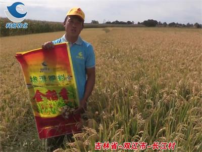吉林省-雙遼市-長(zhǎng)江村