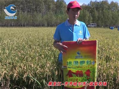 黑龍江-齊齊哈爾市-依安農(nóng)場(chǎng)