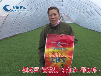 黑龍江-富?？h-友誼鄉(xiāng)-綜合村