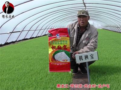 呼蘭區(qū)-民主村-達戶屯